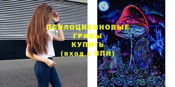 ешки Алексеевка
