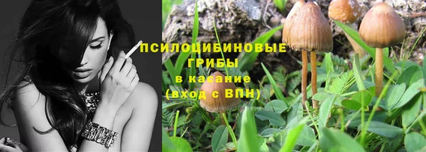 гидропоника Абинск