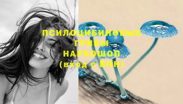шишки Абдулино