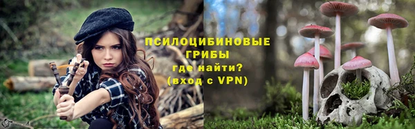 ешки Алексеевка
