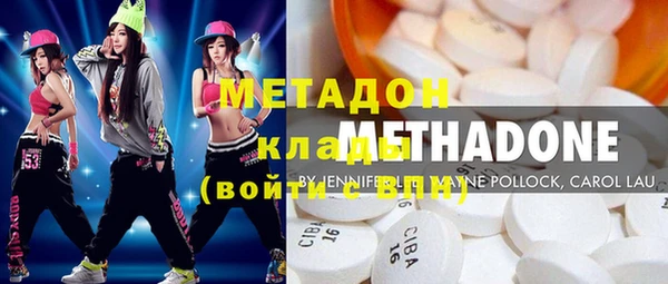 индика Алзамай