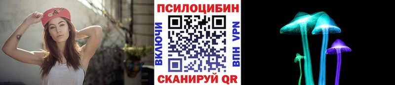 что такое наркотик  Брюховецкая  Псилоцибиновые грибы Psilocybe 